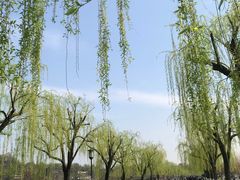 -苏堤停车场