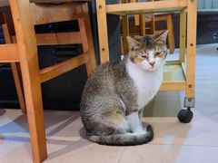 -官塘陈记鱼生·潮汕砂锅粥·牛肉火锅(潮枫路总店)