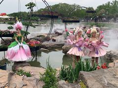 -荷兰花海