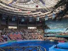 -海合安成都极地海洋公园