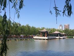 -莲花池公园