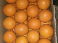 -钟掌勺忘不了地道湘菜(新天地假日广场店)