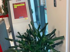 -招商银行(上海自贸试验区分行)