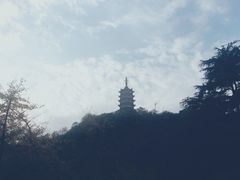 -焦山风景区