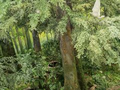 -同里国家湿地公园