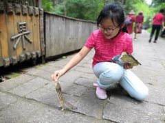 -五营红松林海景区
