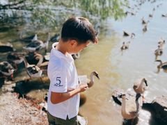 -上海长兴岛郊野公园