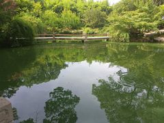 -汇龙潭