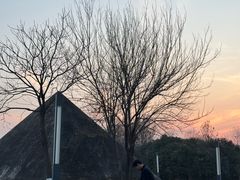 -东湖落雁景区