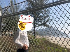 -台山黑沙湾海浴场