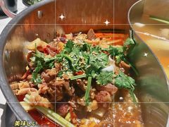 鲜牛杂鸳鸯锅-今日炊牛·潮汕牛肉火锅(华采天地店)
