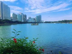 -白鹭洲公园
