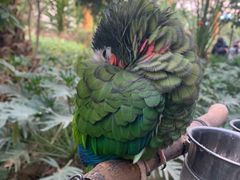 -南宫五洲植物乐园