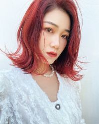 -IDOL-PLUS