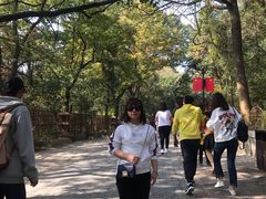 -灵岩山风景区