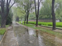 -北坞公园