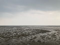 -北海金海湾红树林生态旅游区