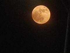 -艾溪湖湿地公园