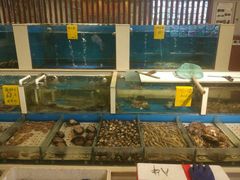 水产区-北塘海鲜·天津菜(大光明桥旗舰店)