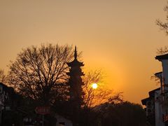 -秋霞圃