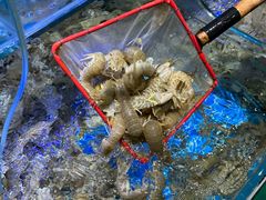 -前王院•巧克力海鲜市集餐厅(万平口店)