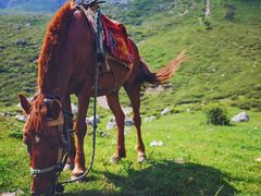 -冶力关旅游区