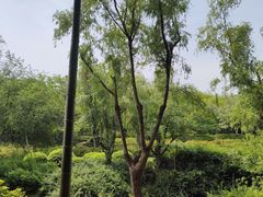 -宜兴龙背山森林公园
