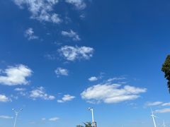 -莲花岛景区