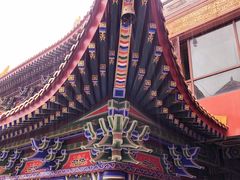 -东莞市大岭山森林公园