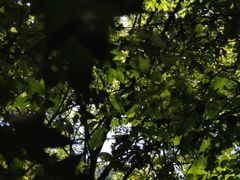 -关门山森林公园