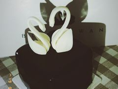 -BLACKSWAN黑天鹅(环球店)