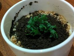 盆栽酸奶-院落创意菜