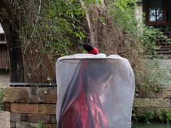 -汉仪华裳汉服旗袍·摄影写真馆(乌镇西栅店)