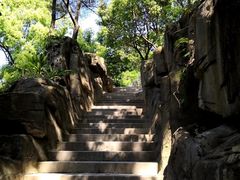 -金鸡山公园