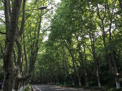 -钟山体育运动公园