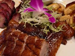 -吴系粤菜馆·茶餐厅(深业上城店)
