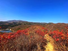 -北京西山国家森林公园