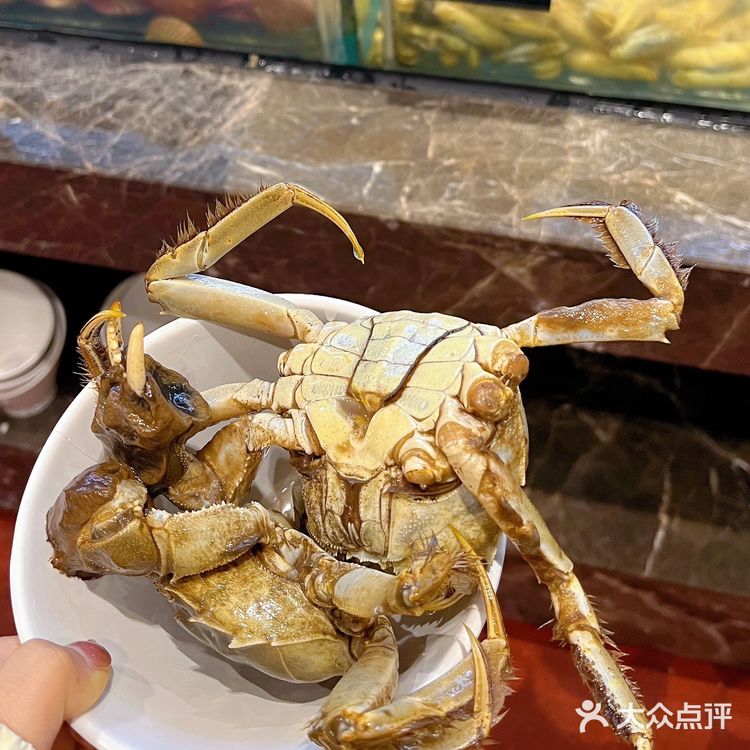 超详细！武汉金马门自助实测攻略