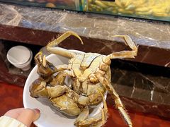 -金马门国际美食百汇(珞喻路店)