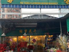 -曲阳花鸟市场(曲阳路店)