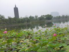 -西海子公园