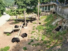 -大连森林动物园