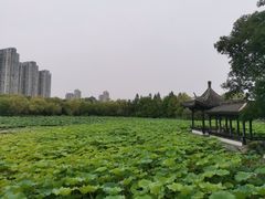 -高子水居