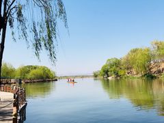 -东方巨龟苑景区