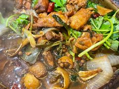 招牌家鸡煲-渝君重庆火锅(嘉宾路店)