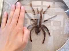 -上海昆虫博物馆