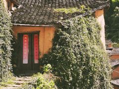 -杨家堂村