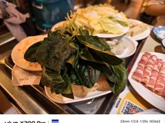 -总参北京涮羊肉