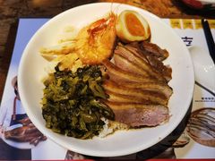 金奖卤鹅肉饭-陈鹏鹏潮汕菜(宝安机场T3航站楼店)