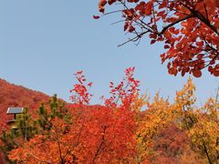 -周口店坡峰岭风景区